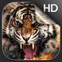 Tiger Live Wallpaper HD