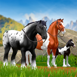 Star Equestrian - Horse Ranch