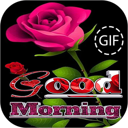 Good Morning Flowers Images GIF