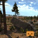 VR Forest Relaxation 1