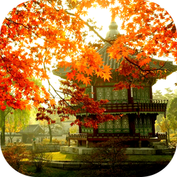 SEOUL Wallpapers - South Korea