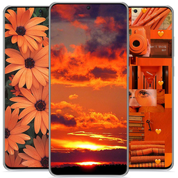 Orange wallpaper HD