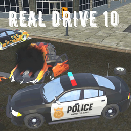 Real Drive 10