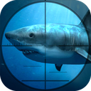 Hunting Fish Shooting : Hunter