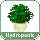 Hydroponic Farming System