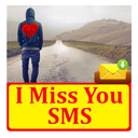 I Miss You SMS Text Message