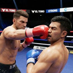 UBC: Sports Game, Boxing & KO!