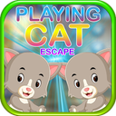 Kavi Escape Game - Playing Cat