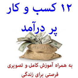 ۱۲ کسب و کار پر درآمد