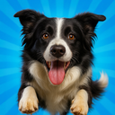 Pocket Paws: Dog Champions
