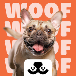Pocket Paws: Dog Champions