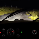 Endless Night Drive