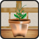 Plants Shop : App of growing a