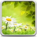 Spring Meadow Live Wallpaper