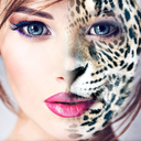 Animal Face Editor : Morphing
