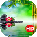 پس زمینه زنده منظره طبیعت2