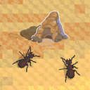 Ant Colony: Wild Forest Game