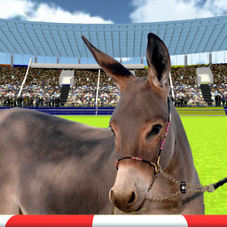 Video game donkey outlet