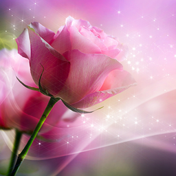 pink crystal flowers  Lovely flowers wallpaper, Beautiful gif