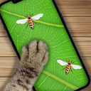 Cat Toy - Games for Cats