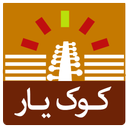 کوک یار عود - تیونر حرفهای