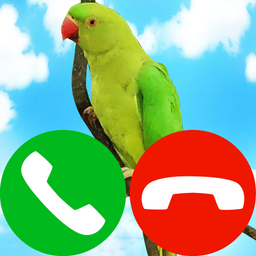 fake incoming call pet game