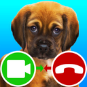 fake call video puppy game