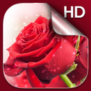 Red Roses Live Wallpaper HD