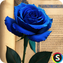 اشعار عاشقانه دلتنگی