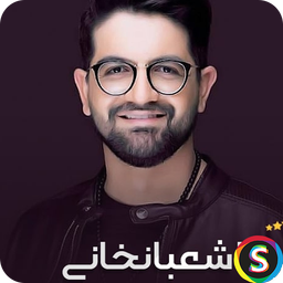 Sina Shabankhani's unofficial music