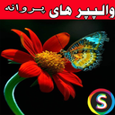 والپیپـر های پروانه