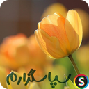 پيامک هاى تشكر و قدردانى