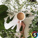 تصاویر سبک زندگی