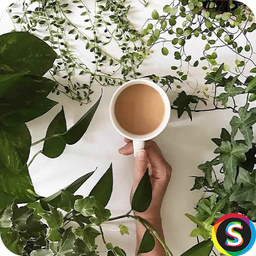 تصاویر سبک زندگی