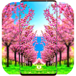 Sakura Wallpaper HD