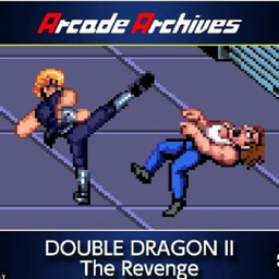 Double Dragon 2 The Revenge