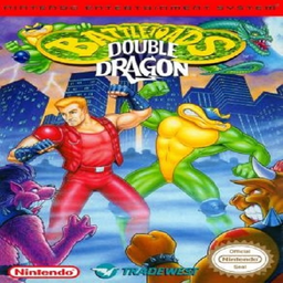 Battle toads Double Dragon