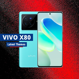 Themes for Vivo X80