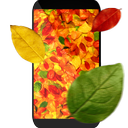 Autumn leaves 3D LWP