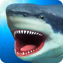 Shark Simulator