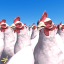 Cluck Shot: Chicken War