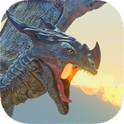 Fantasy Dragon Flight p2 Game