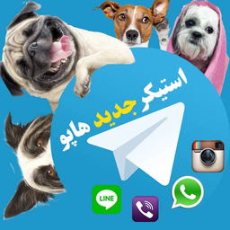 new sticker Hapoo(dog sticker)