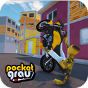 Pocket Grau - Online
