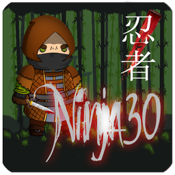Ninja30