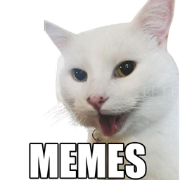 🐱New Cats Memes 2020(WAStickerApps)