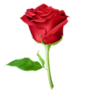 WAStickerApps 🌹Flowers And Roses