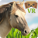 VR Horse Ride