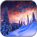 Winter Nature Live Wallpaper