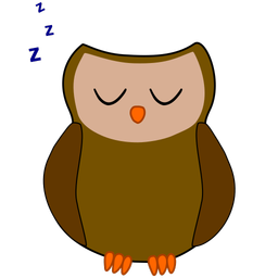 Sleeping Owl Widget